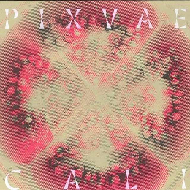 Pixvae - Cali (LP Schallplatte), Rock, Pink, Les Disques Bongo Joe, 2019 - Bild 1