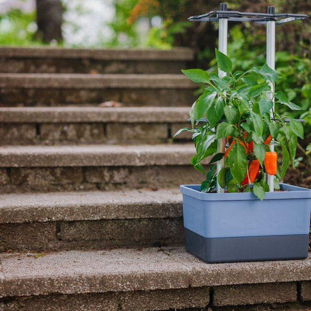 Gusta Garden Chilitopf Charly Chili Pflanzentopf mit Rankhilfe in Blau, Höhe: 105,4 cm - Bild 1