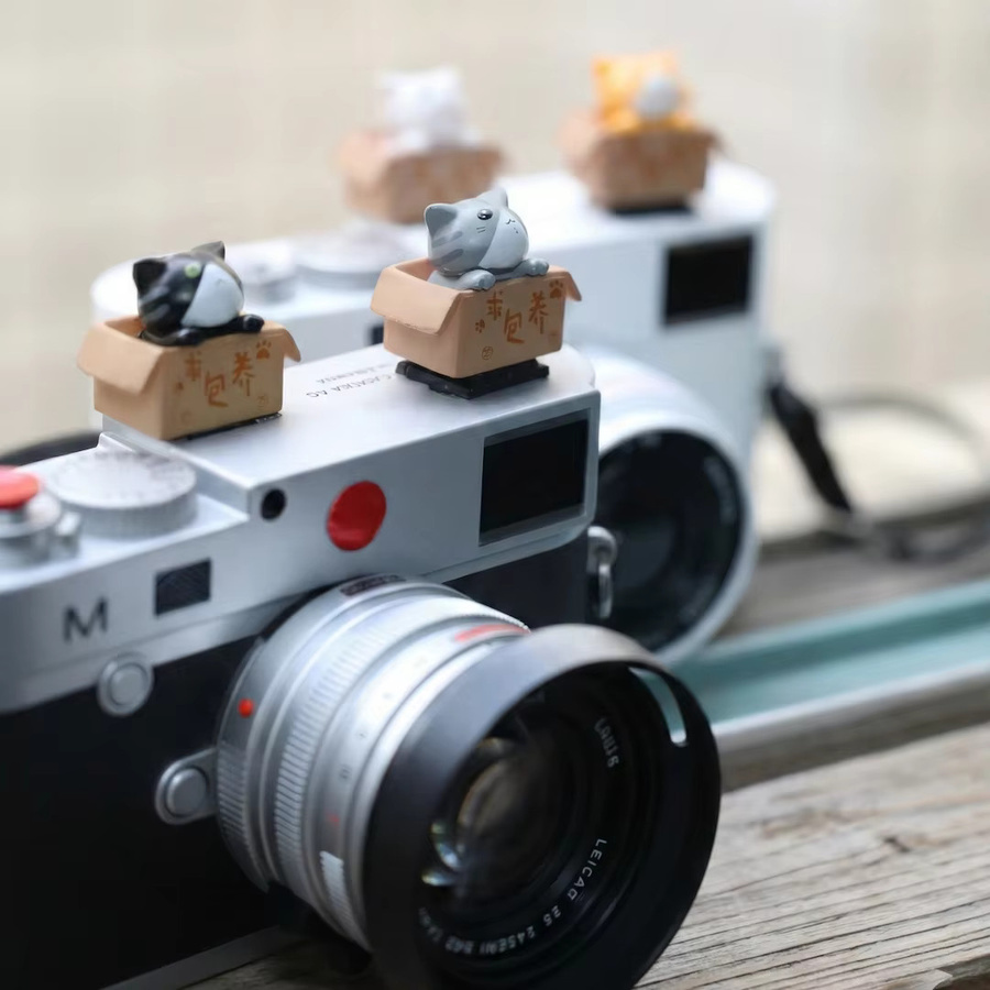 Universal Blitzschuh Abdeckung mit süßem Katzenmotiv für DSLR und spiegellose Kameras in Grau - Bild 2