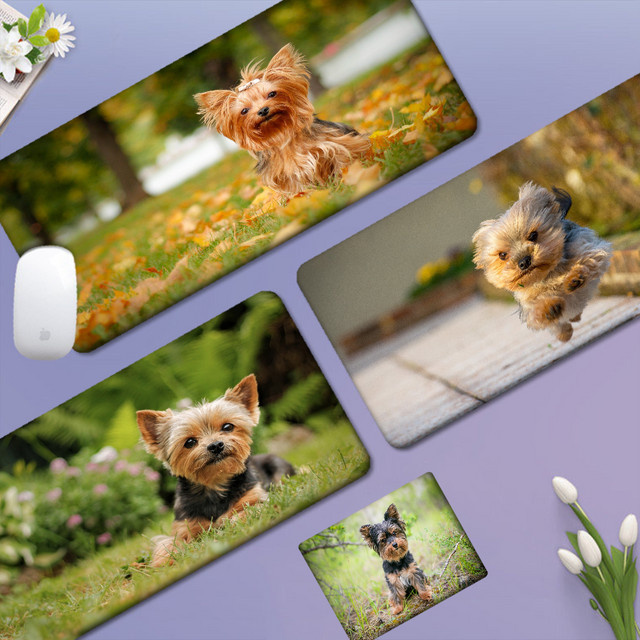 Gaming Mousepad mit Yorkie Hund Animation in Multicolour für PC und Tastatur - Bild 1