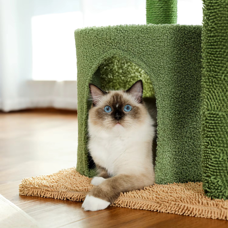 PEQULTI Kaktus-Kratzbaum für Katzen mit Korbliege, Höhle und Sisal-Elementen - Bild 2