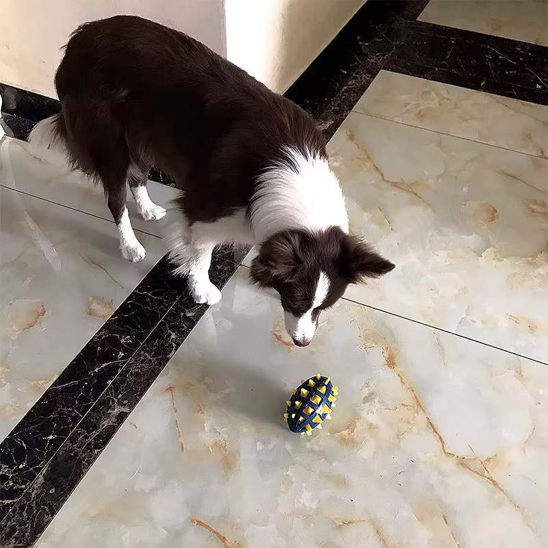 Qzee Hunde-Gummi-Rugby-Ball, Quetschspielzeug mit Geräuschen - Bild 3