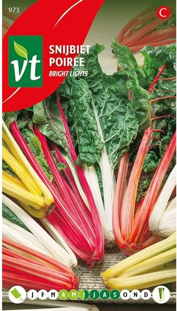 Arborix Mangold Bright Lights Saatgut mit bunten Blättern, 3 g - Bild 1