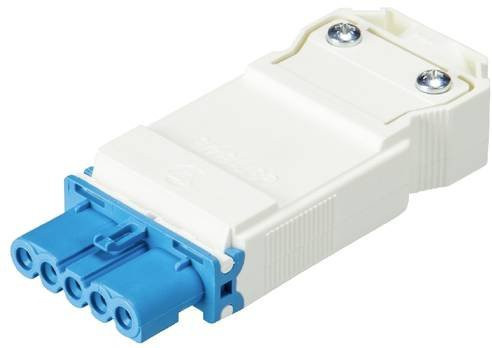 Wieland Electric 91.951.4353.0 Steckverbinder in Blau und Weiß - Bild 1