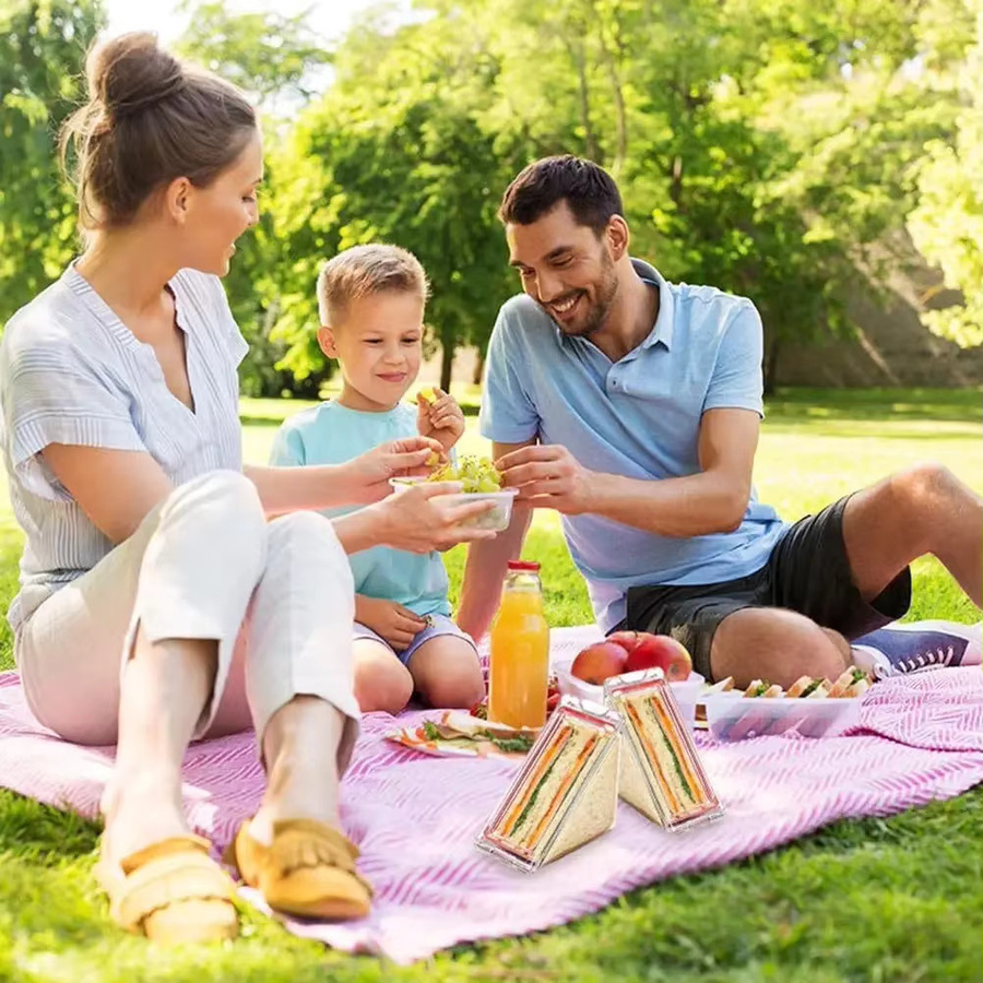 10er Set Trebalena Dreieckige Sandwich Boxen aus Kunststoff, Transparent, Luftdichte und Auslaufsichere Reise-Aufbewahrungsboxen für Kuchen und Snacks - Bild 3