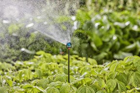 Gardena Micro-Drip System Verlängerungsrohr 13 mm in Anthrazit - Bild 4