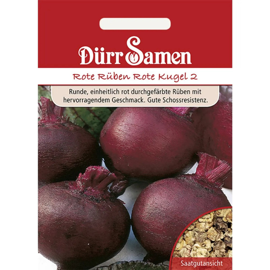 Dürr Rote Rüben Rote Kugel 2 Saatgut - Bild 2