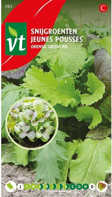 Arborix Asiatische Salatmischung Saatgut Würzig 2,5 g - Bild 1