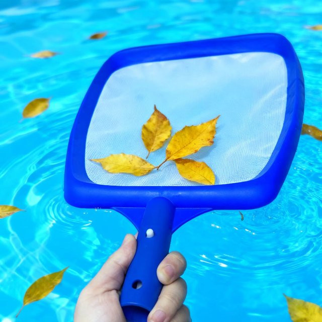 Blaues Pool-Skimmer-Netz zur manuellen Reinigung von Blättern und Schmutz auf der Wasseroberfläche - Bild 1