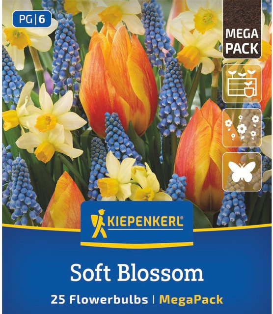 Kiepenkerl Blumenzwiebelmischung Soft Blossom Mix, bunt, 25 Stück - Bild 1