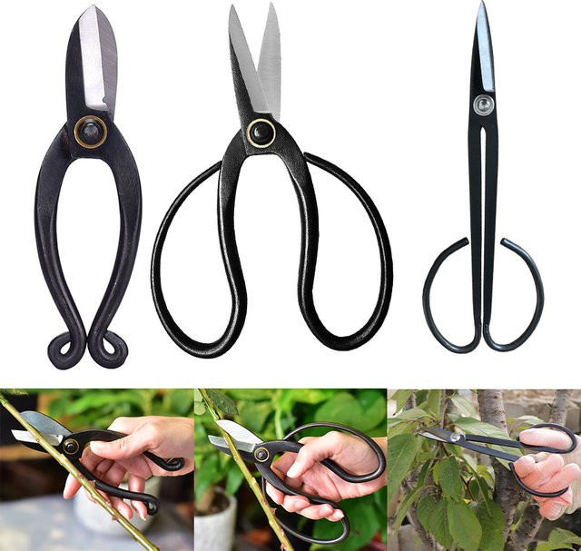 TQSDYY Profi Garten-Beschneiderschere aus High Carbon Stahl in Schwarz für Bonsai, Wurzeln und Pfropfarbeiten - Bild 1