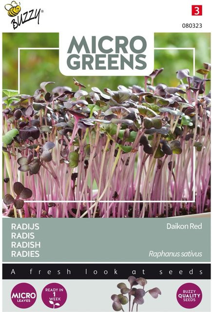 Buzzy Microgreens Radies Daikon Rot Samen 5 g - Bild 1