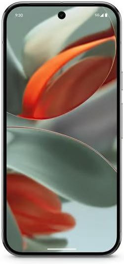 Google Pixel 9 Pro 5G Smartphone Refurbished, 256 GB Speicher, 16 GB RAM, Grau - Bild 1