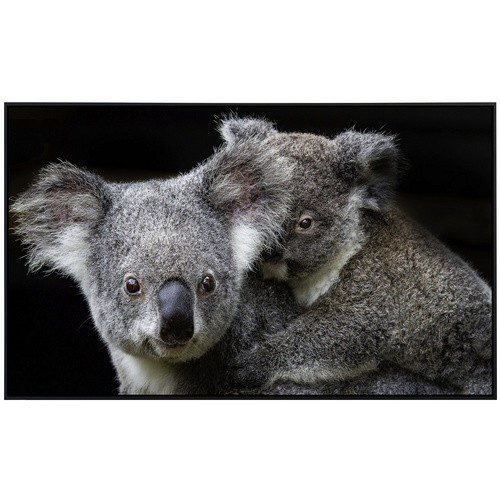 papermoon EcoHeat Infrarotheizung Koala Mutter und Joey mit Matt-Effekt in Bunt, App-Steuerung und Überhitzungsschutz - Bild 2
