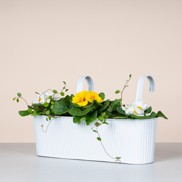 BLUME2000 Hängekasten Rille aus Zink in Weiß, Breite: 42 cm - Bild 1