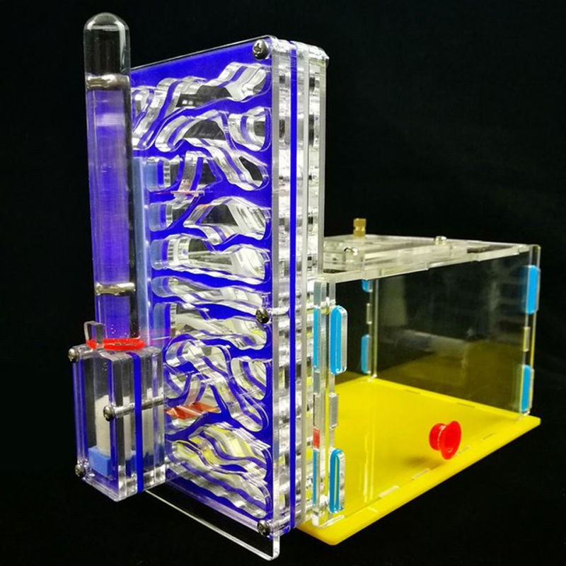 Koogeelife Insektenvilla aus Acryl mit T-Design Futterbereich in Blau - Bild 1