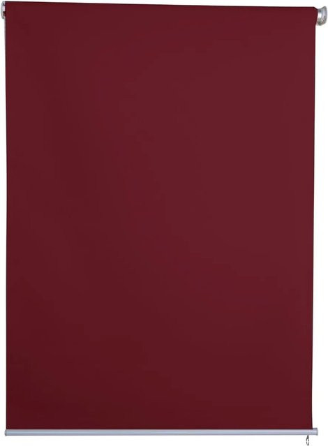 Jet-Line Sichtschutzrollo Outdoor in Bordeaux, B: 160 cm, H: 230 cm - Bild 1