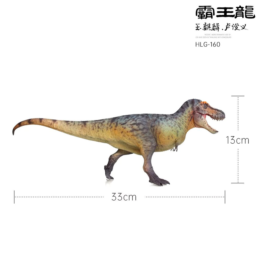HAOLONGGOOD Tyrannosaurus Rex Dinosaurier-Modell, Maßstab 1:35, Sammlerskulptur - Bild 2