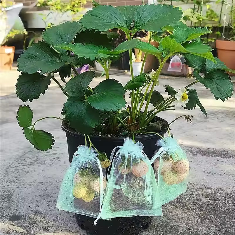 Schutzbeutel aus Drahtgeflecht für Trauben und Obst zur Schädlingsbekämpfung, Weiß, 50 Stück - Bild 3