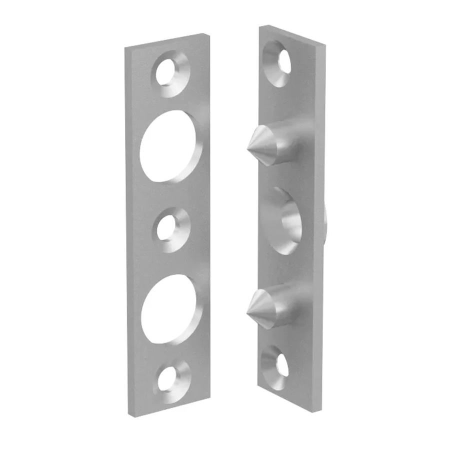 BASI Bändersicherung BSA 90 mit 2 Zapfen in Silber verzinkt B/H: 90 x 22 mm - Bild 2