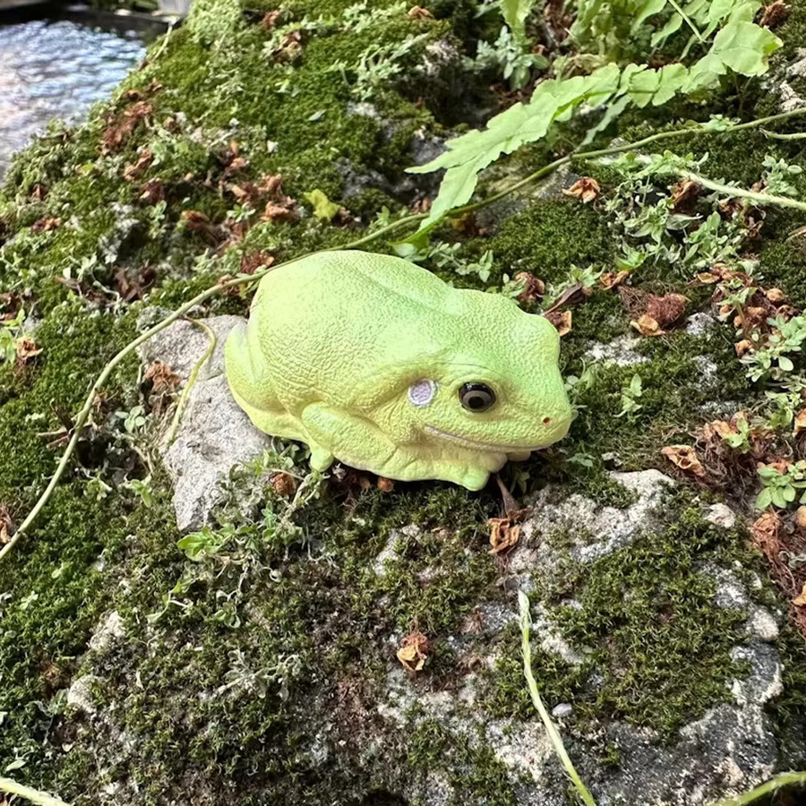 Toymany Grüner Baum Frosch Reptil Reich, Action Figuren, Tiere - Bild 2