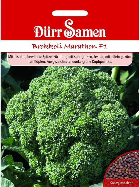 Dürr Brokkoli Marathon F1 Saatgut 50 g - Bild 1