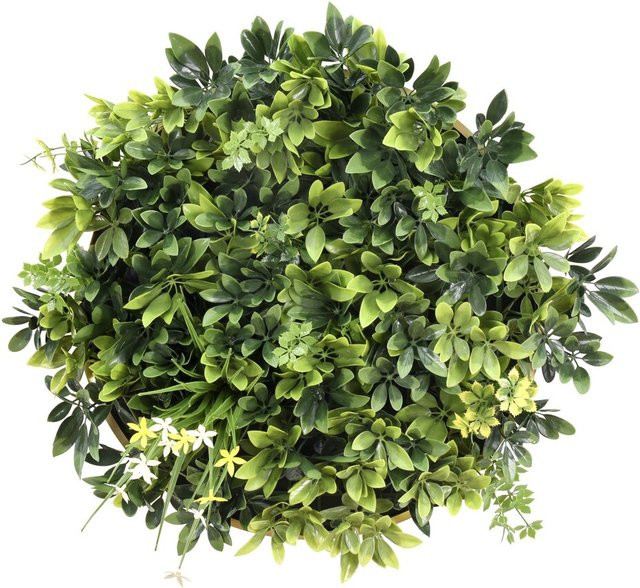 hjh LIVING Pflanzenmatte LEAFLUXE WALL 2 in Grün und Gold aus Polyethylen und Aluminium - Bild 1