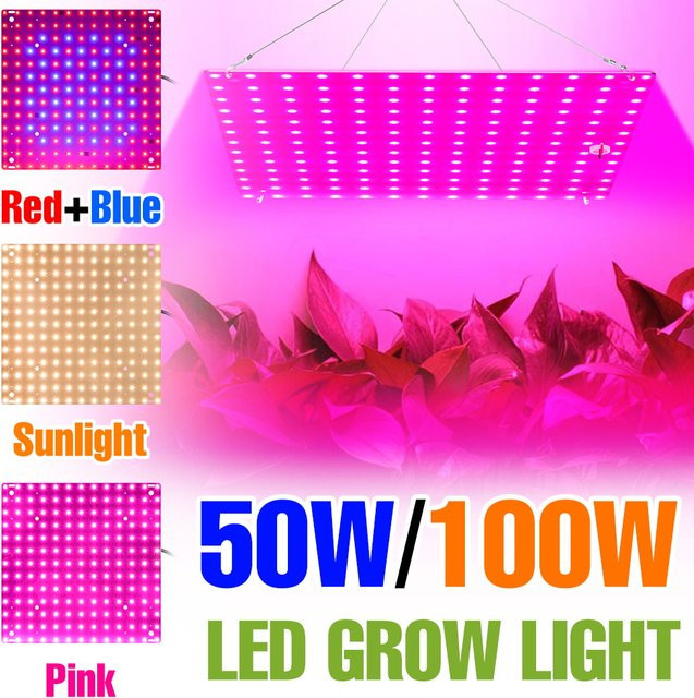 LED-Quantum-Board Pflanzenlampe mit 100 W Vollspektrum-Wachstumslicht für Samen, Gewächshäuser und Zimmerpflanzen - Bild 1