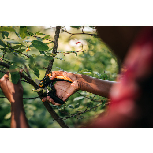Fiskars Plus PowerLever Bypass Gartenschere P721 in Schwarz und Orange - Bild 2
