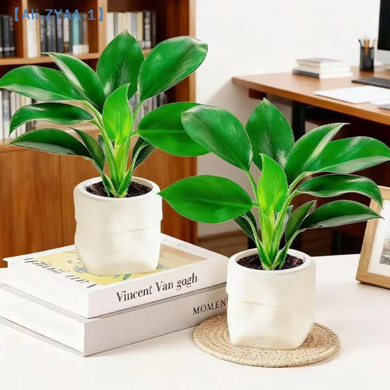 JETTING Mini selbstbewässernder Blumentopf mit Fischbecken aus Kunststoff in Weiß - Bild 2