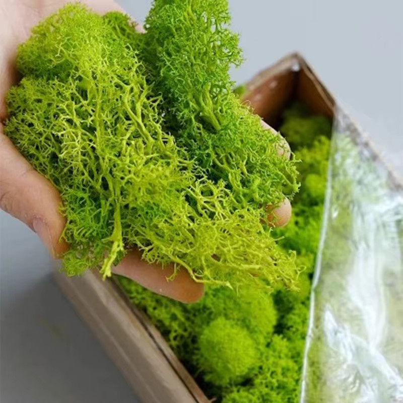 Uflower Natürliches Moos als Simulationspflanze in Grün für Garten, Wandgestaltung und Mikro-Landschaften, 200g - Bild 3