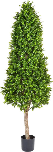 Künstlicher Buchsbaum Rene von Aplanta, Höhe: 170 cm - Bild 1