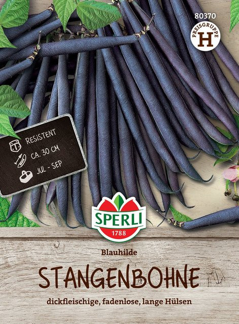 SPERLI Stangenbohnen-Samen Blauhilde - Bild 1