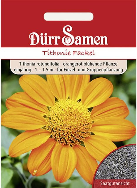Dürr Samen Tithonie Fackel Orangerot Einjährig Saatgut für Beet und Rabatten - Bild 1