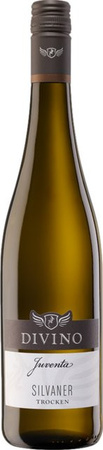 Divino Silvaner Weißwein, Franken, 2025, trocken, 0,75 l
