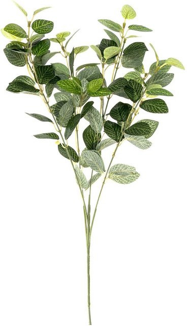 idee. Künstliche Euonymus Pflanze in Grün, Höhe: 55 cm - Bild 1