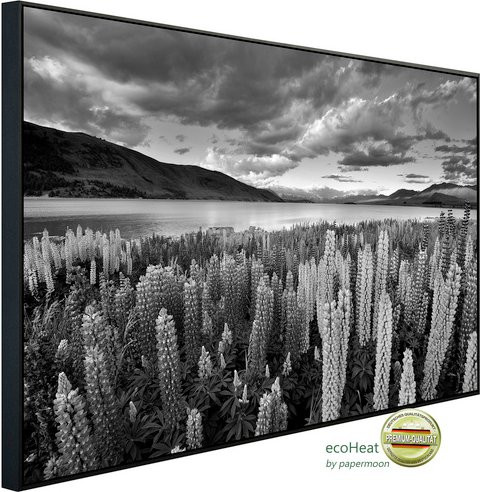 papermoon Infrarotheizung EcoHeat Landschaft Schwarz Weiss mit Matt-Effekt und App-Steuerung - Bild 1