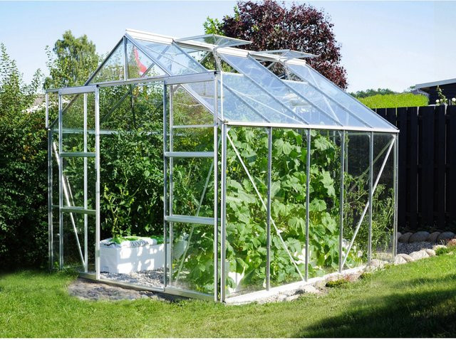Vitavia Gewächshaus Uranus 8300 aus eloxiertem Aluminium mit Sicherheitsglas und Fundament, 8,3 m² - Bild 1