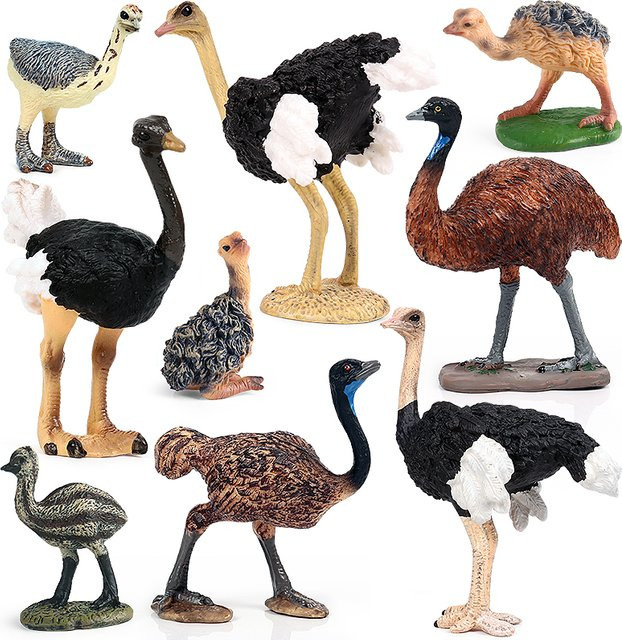 Oenux Strauß Struthio Tierfigur aus PVC als Spielzeug und Sammlerfigur für Kinder - Bild 1
