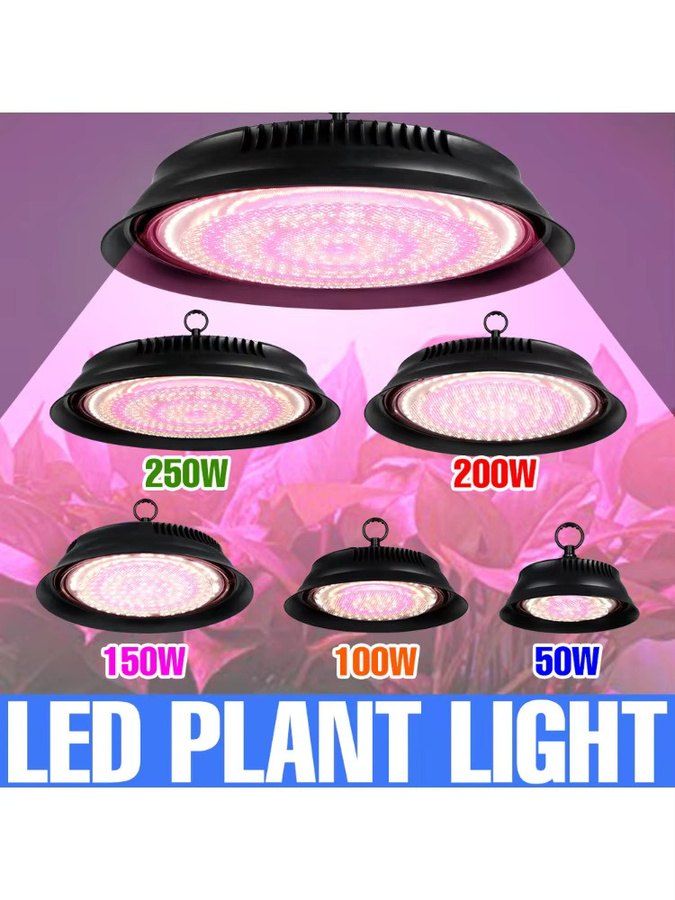 CanLing 250 W LED Vollspektrum Pflanzenlampe für Hydrokultur und Gewächshäuser, Schwarz - Bild 5