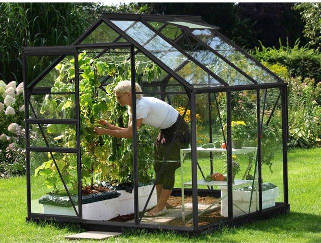 Vitavia Gewächshaus Venus 3800 Schwarz 3,8 m² mit 3 mm ESG-Glas - Bild 4