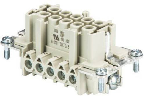 Wieland Electric Buchseneinsatz BAS 70.300.1040.0, 10-polig, Grau - Bild 1