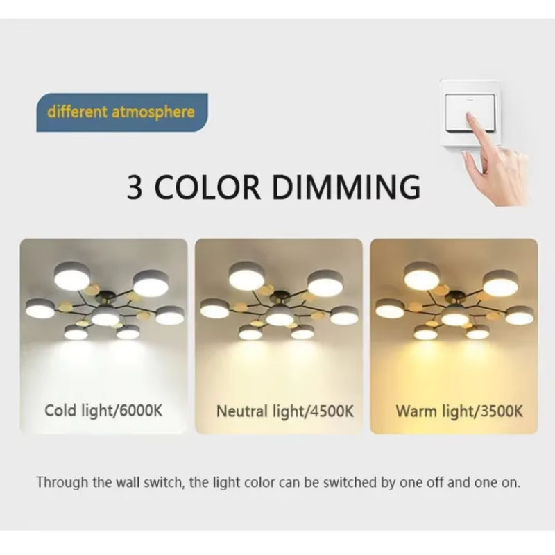 IRALAN Moderne LED-Deckenleuchte in Ringform, runder Deckenleuchter mit 3 Farbmodi für Wohnzimmer und Schlafzimmer, Schwarz/Weiß - Bild 5