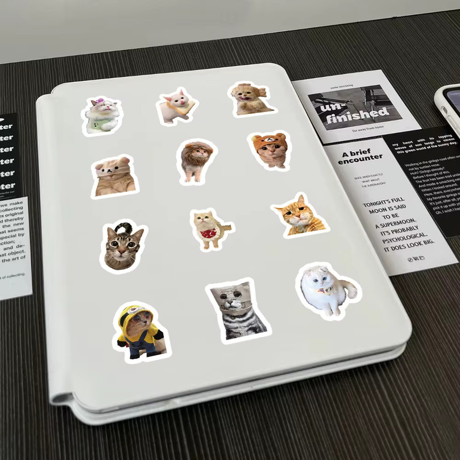 Realistisches Kitty-Stickerbuch mit 103 Stück in Multicolour zur Dekoration von Wasserflaschen - Bild 3