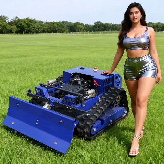 AIWEIYA Ferngesteuerter kompakter Roboter in Blau mit 550 mm Schnittbreite - Bild 1