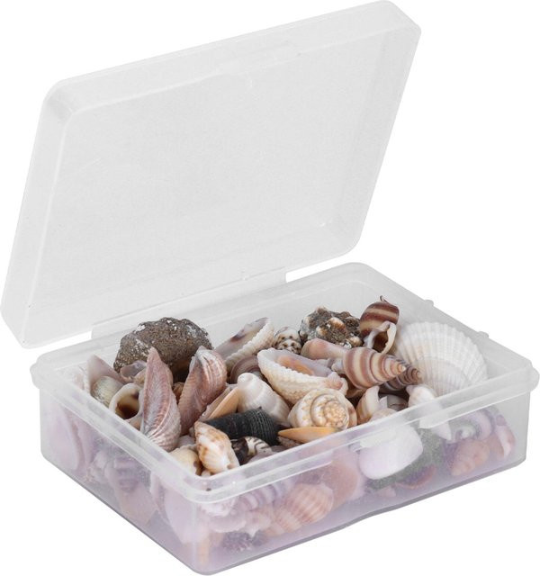 Schmuck Handwerk DIY Muschel Set, natürliche Schnecke, Conch - Bild 1