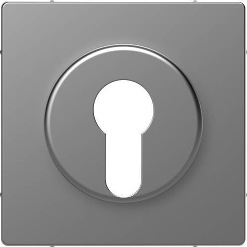 Merten Abdeckung System Design aus Edelstahl in Silber/Grau MEG3886-6036 - Bild 1