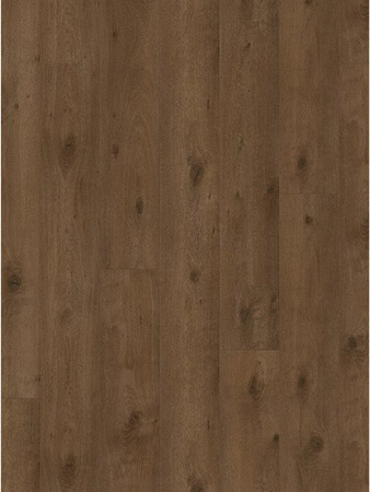Parador Trendtime 6 Laminat in Holzoptik Eiche Everglade Grau, wasserfest, Dicke: 9 mm, Länge: 220 cm