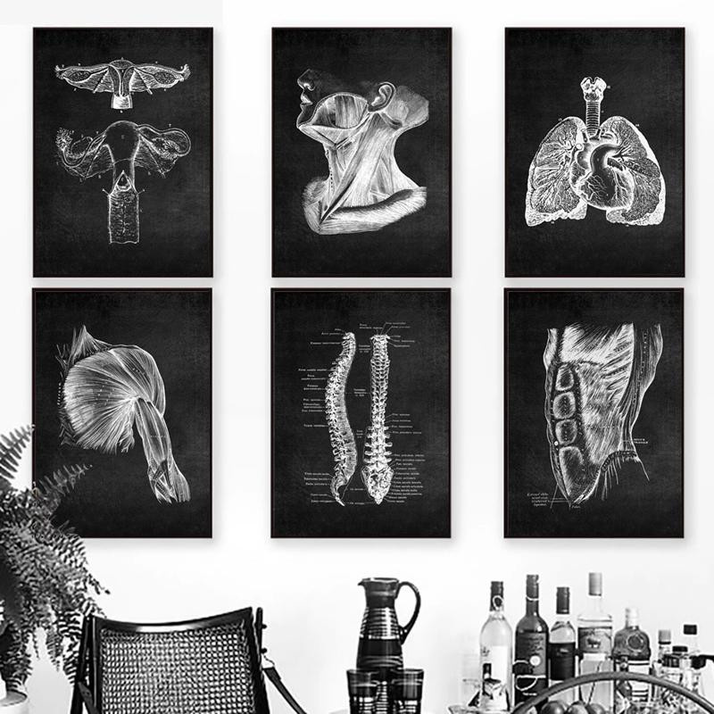 DIMENGQI Vintage Wandbild Menschliche Anatomie Leinwanddruck Skelett Organ und Muskelsystem in Schwarz-Weiß, Breite: 40 cm, Höhe: 50 cm - Bild 1