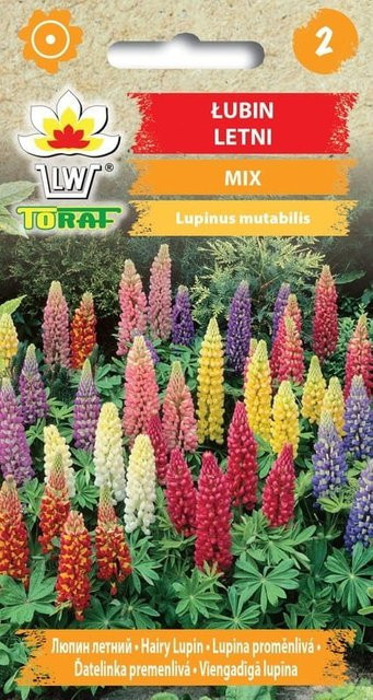 Toraf Lupinen Zomenzaatmix, bunte einjährige Blumen für Blumenbeete und Schnittblumen, 1 g - Bild 1
